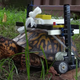 Este tortuga puede caminar gracias a una silla de ruedas de LEGO.